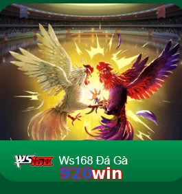 920win